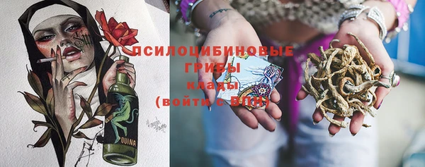 ПСИЛОЦИБИНОВЫЕ ГРИБЫ Армянск