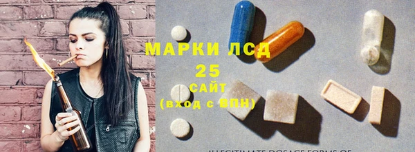 ПСИЛОЦИБИНОВЫЕ ГРИБЫ Армянск