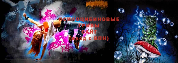 ПСИЛОЦИБИНОВЫЕ ГРИБЫ Армянск