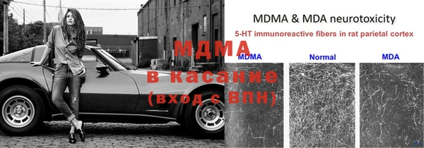 ПСИЛОЦИБИНОВЫЕ ГРИБЫ Армянск